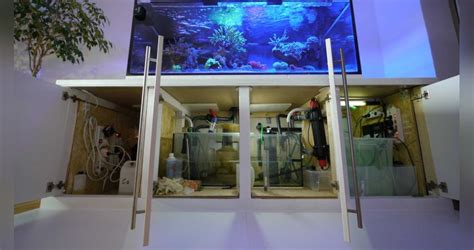 Das 770 Liter Meerwasser Aquarium von Matthias Schütt