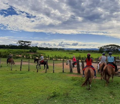 Fazenda São Francisco Pantanal Blog Agência Ygarapé