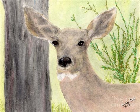 Doe Deer Face Wildlife Animal Art Painting by Cathy Peek