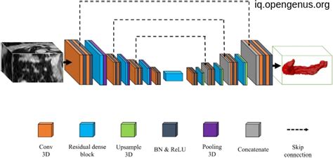 Pancreatic Volumetry Using Deep Learning