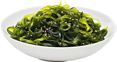 Seaweed Png With Ai Generated 26774899 Png