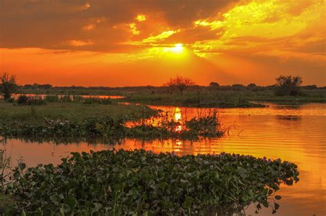 El Parque Nacional Islas de Santa Fe cumple 12 años Sol Play 91 5