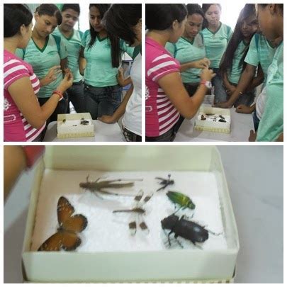 Pibid Biologia Poeta Torquato Neto Uespi