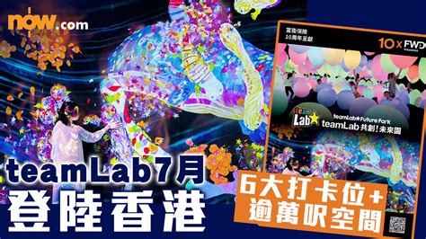 【teamlab香港】7月正式登陸九龍灣megabox！ 6大打卡位逾萬呎空間 Now 新聞