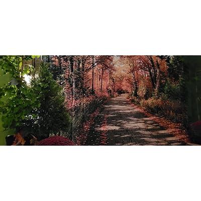 Buy SJOLOON Fall Photography Backdrop Autumn Backdrop Golden Fallen