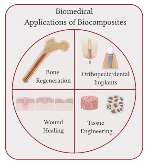 Molecules Free Full Text From Dermal Patch To Implants—applications