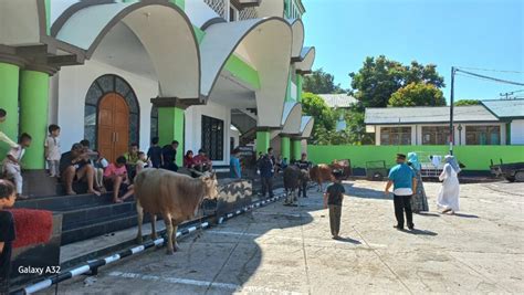 Penyembelihan Hewan Kurban Diberbagai Lokasi Di Jayapura Ribuan Kupon