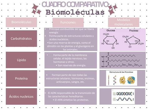 Cuadro Comparativo Biomoléculas Yarazet uDocz