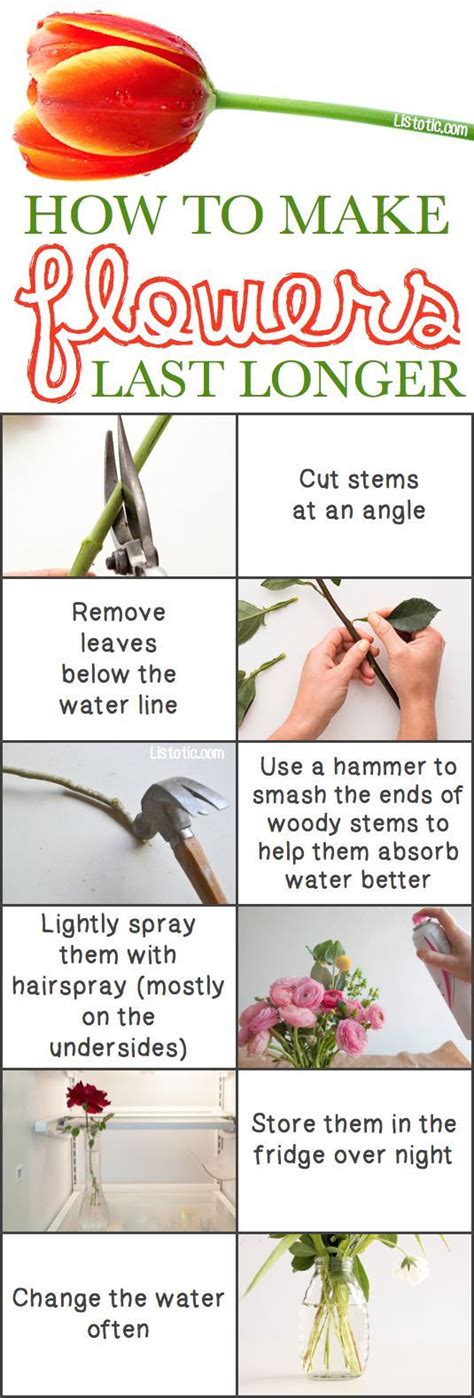 How To Make Flowers Last Longer In A Vase Easy Diy Tips And Tricks For Flowers Shared By