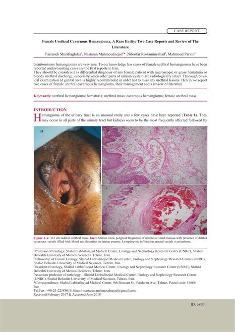 Pdf Female Urethral Cavernous Hemangioma A Rare Entity Two Case