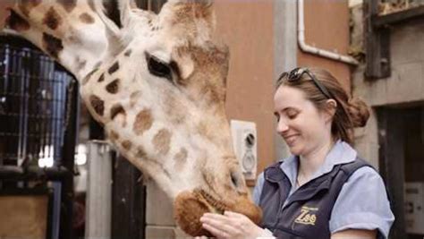 Wellington Zoo Activity In Wellington New Zealand