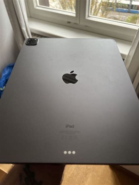 Apple Ipad Pro 256gb Kaufen Auf Ricardo