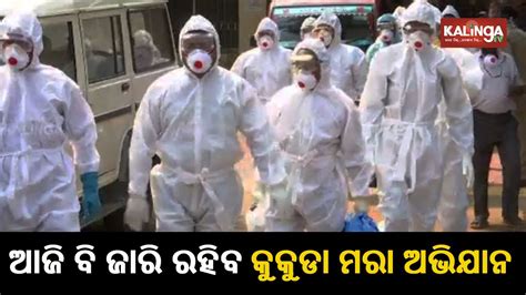 Bird Flu Poultry Culling Continues In Bhubaneswar Youtube