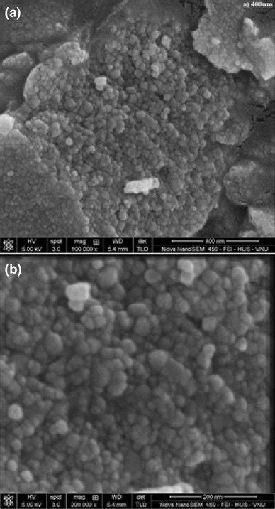 Sem Images Of Tio Nanoparticles With Different Scales A Nm And B