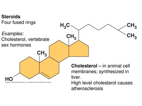 The Structure And Function Of Large Biological Molecules Ppt Download