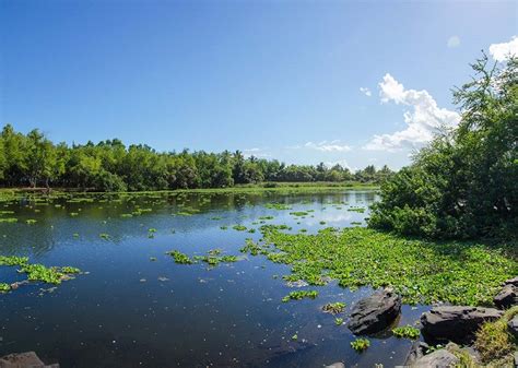 Laissez vous guider par la réserve naturelle de lEtang St Paul