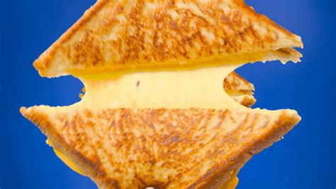 Grilled Cheese Gifs Find Share On Giphy