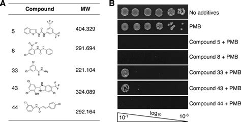 Lead Compounds Exhibit Synergy With Polymyxin B Against Download