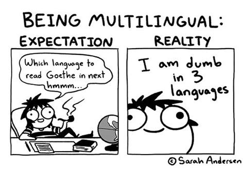 favorite memes  learning languages ankimaster