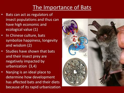 Ppt Foraging Ecology Of Bats In Developed And Forested Areas In