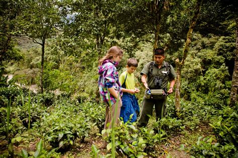 Visiting The Amazon Rainforest With Kids - Rainforest Cruises