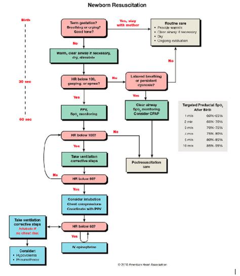 Pediatric Ecmo Beyond The Basics Of Pediatric Resuscitation — Nuem Blog