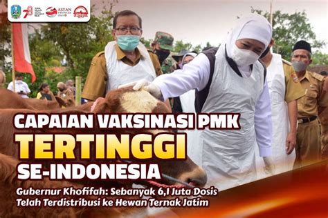 Capaian Vaksinasi PMK Jatim Tertinggi Nasional Gubernur Khofifah 6 1