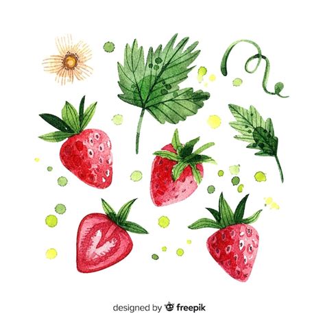 Fondo De Fruta Con Fresas En Acuarela Vector Premium