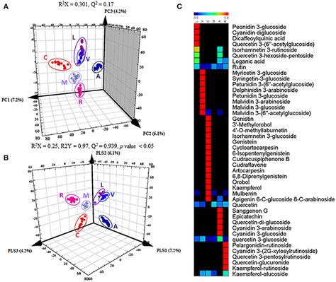 Frontiers Distinguishing Six Edible Berries Based On Metabolic