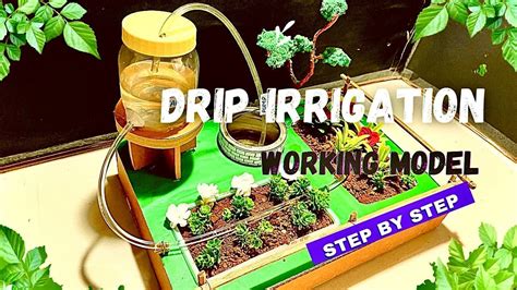 Drip Irrigation Working Model For School Dripirrigation Educational Videos Agriculture Artofit