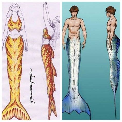 Pin By Alexis Townsend On Inspirations In Mermaid Drawings H O