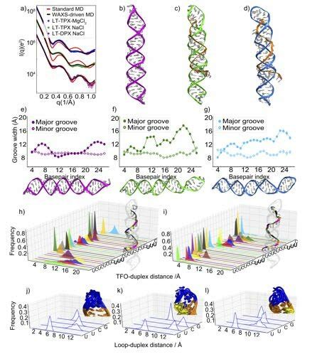 Structural Analysis And Comparison Of Constructs With Longer Helices