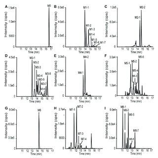 Extracted Ion Chromatograms Of 101BHG D01 And The Metabolites In Human