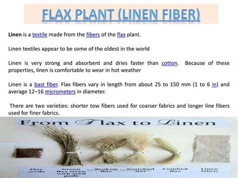 Flax Jute Hemp Ramie Ppt