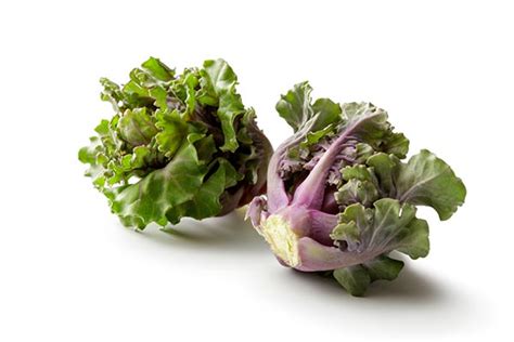 Kalettes: A Chef's Guide | Growing & Cooking Kalettes | First Choice