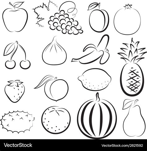 Sketch of different fruits Royalty Free Vector Image