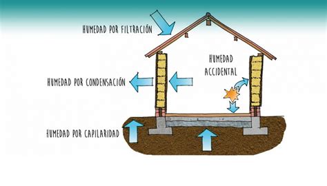 Deck Genau Absolvent Tipos De Humedad Gesch Ftsbeschreibung Unabh Ngig