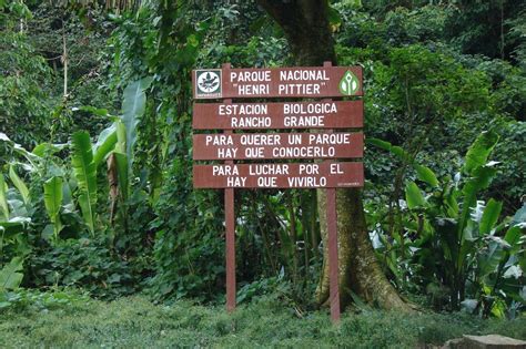 Incendios Forestales Afectan La Flora Y Fauna Del Parque Nacional Henri