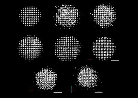 Hula hoop Conqueror persuade atoms microscope images cheese punch Special