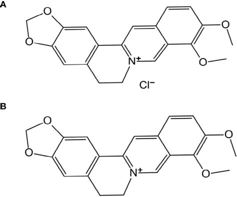 Frontiers A Potential Combination Therapy Of Berberine Hydrochloride