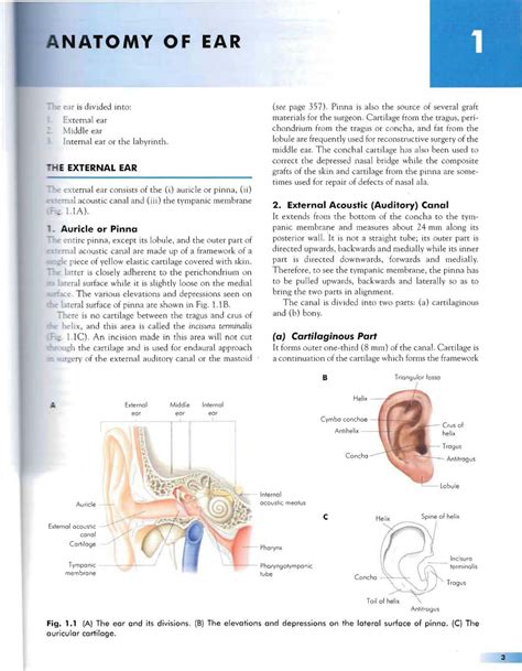 SOLUTION: Diseases of ear nose and throat - Studypool