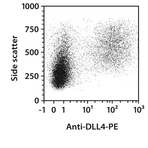 Dll Antibody Anti Mouse Miltenyi Biotec Usa