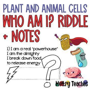 Animal & Plant Cells | Interactive Notebook + Riddle Worksheet | TPT