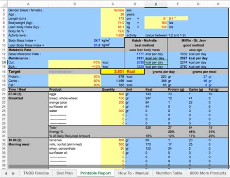 Diet Plan Excel Template