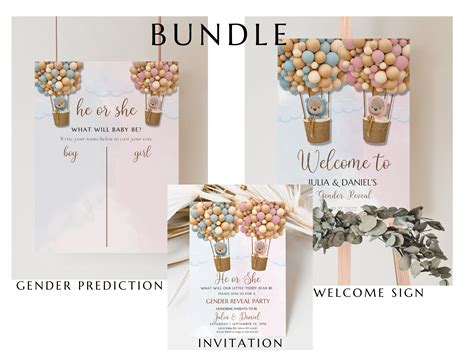 Teddy Bear Gender Reveal Invitation Hot Air Balloon Gender Invite