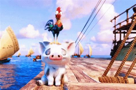 Moana animated chicken gif 285924 - Pixtabestpictat5h