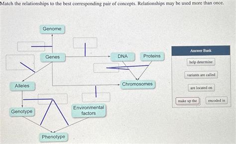 Solved Match The Relationships To The Best Corresponding Chegg