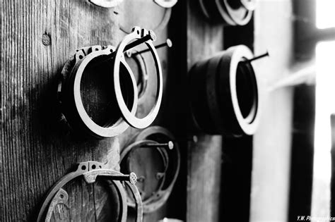 Mein Liebling. Foto & Bild | stillleben, youth Bilder auf fotocommunity