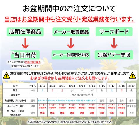 ショートボード用フィン NVS Fin ネイクド バイキング サーフ フィン ALBUM BOM DIA QUAD APEX アルバム ボン ディア クアッド FUTURES Naked