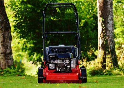 Best Lawn Mowers For Hills And Steep Slopes In 2023